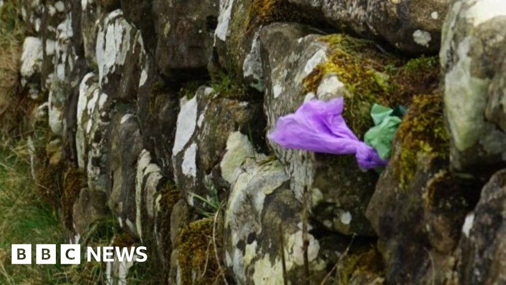 Hadrian's Wall rangers say walkers hide poo bags in its stones