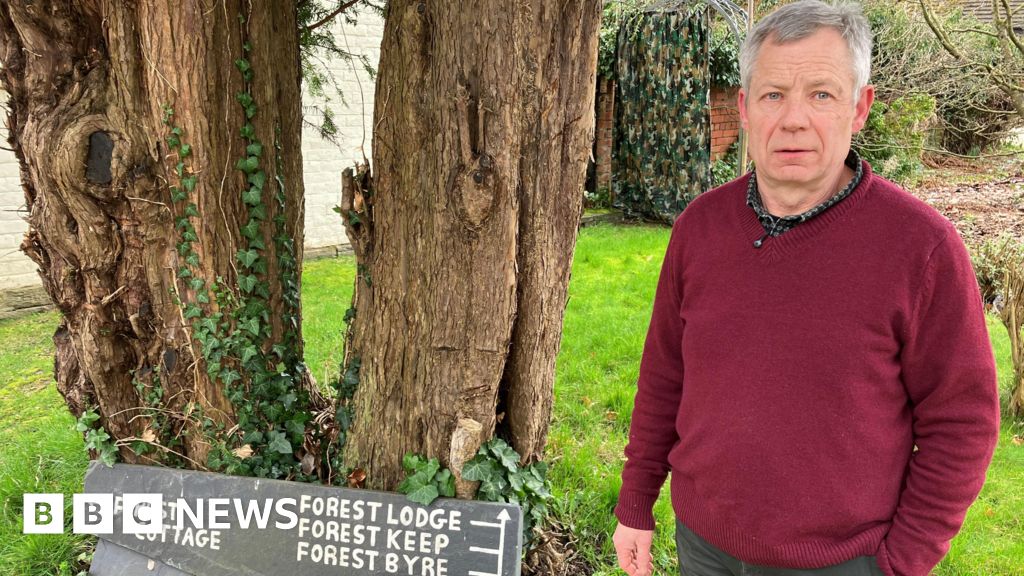 Holiday let owner says legislation will 'destroy me'