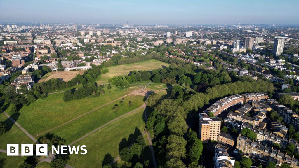 Man, 21, fatally stabbed on London's Primrose Hill
