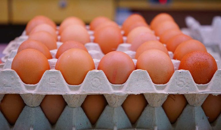 The price of eggs increased, how much did the crate reach? – Online Khabar
 — rohanmandal.com.np