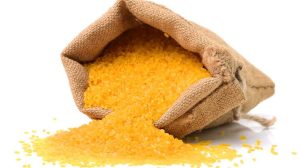 Golden Rice